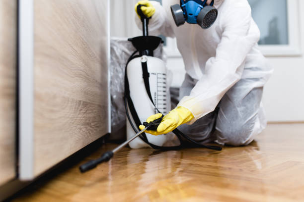 Professional Pest Control in Tennessee Ridge, TN