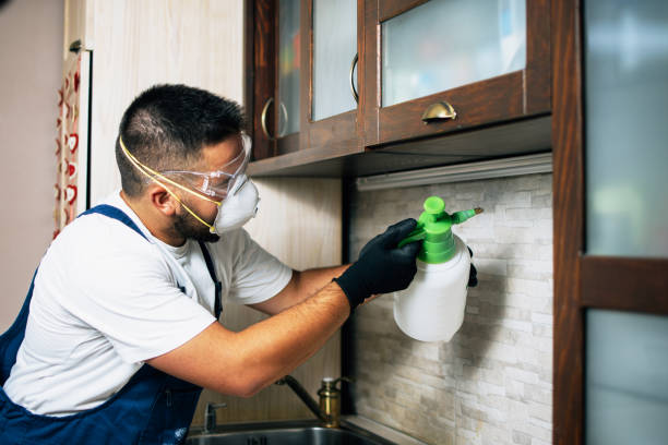 Pest Control Cost in Tennessee Ridge, TN