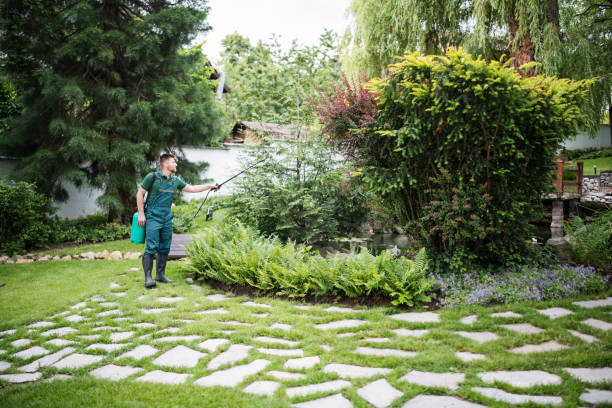 Best Ant Control Services  in Tennessee Ridge, TN