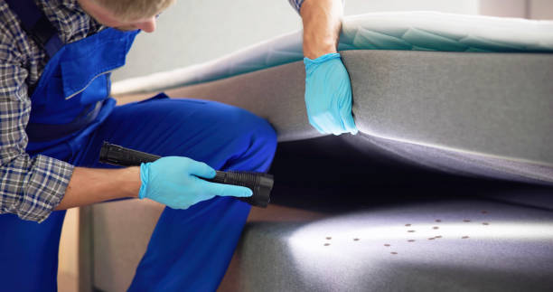 Best Bed Bug Extermination  in Tennessee Ridge, TN