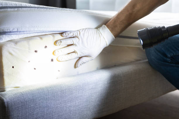 Best Best Pest Control Near Me  in Tennessee Ridge, TN