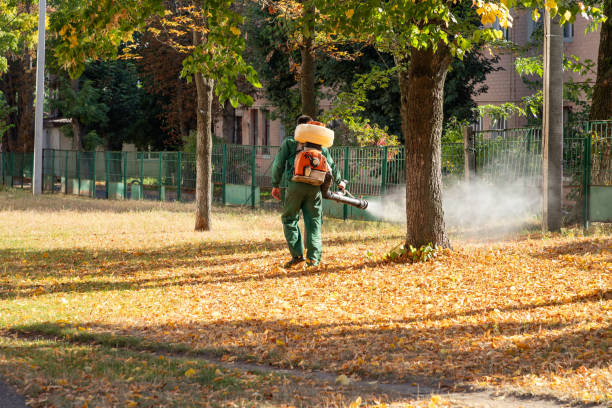 Best Pest Prevention Services  in Tennessee Ridge, TN