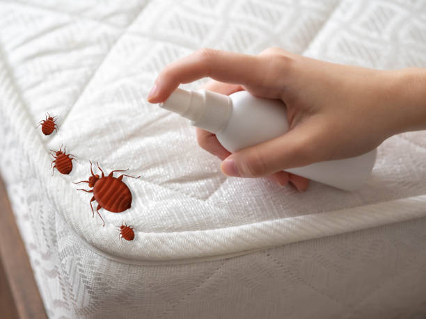 Pest Control for Restaurants in Tennessee Ridge, TN