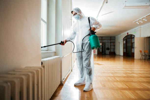 Best Termite Control Services  in Tennessee Ridge, TN
