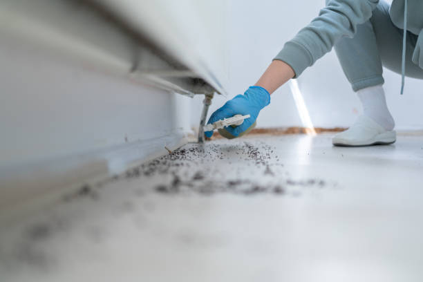 Best Best Pest Control Companies  in Tennessee Ridge, TN