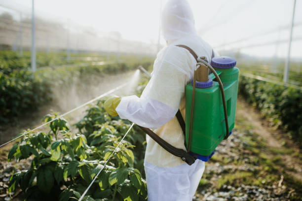 Best Termite Control Services  in Tennessee Ridge, TN